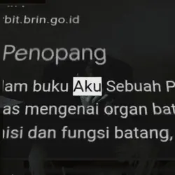 O tuan