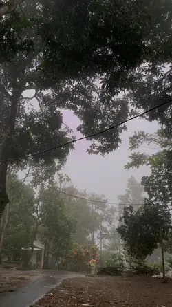 Kabut