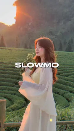 SLOWMO VELOCITY