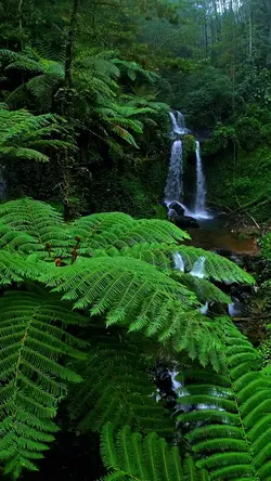 nature vibes