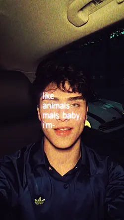 animals - maroon 5