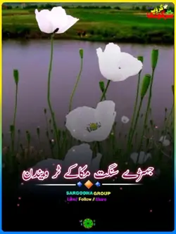 بیلی سئے سئے جوڑ سنگ