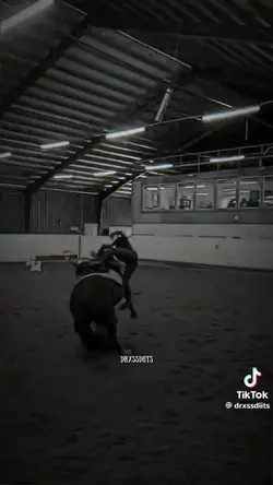 12 Clips hinzufügen
