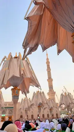 qolbi fil madinah