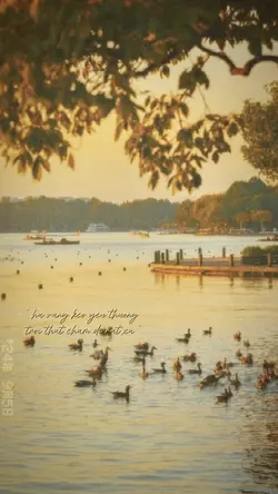QUÊN ĐẶT TÊN