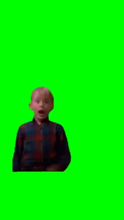 Home Alone meme