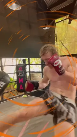 Fight Template