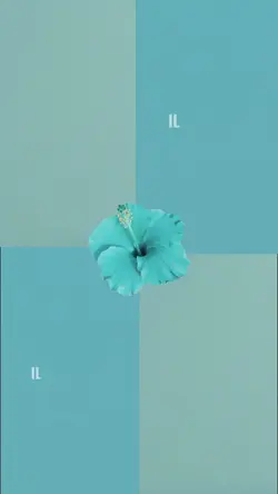 4 photos