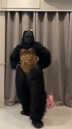 prank dance monyet