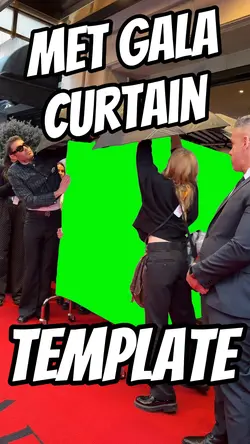 Met Gala Curtain 