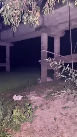 jump scare