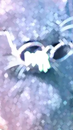 She's 