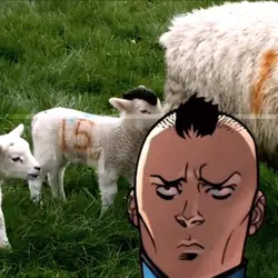 Mohawk mark aura 