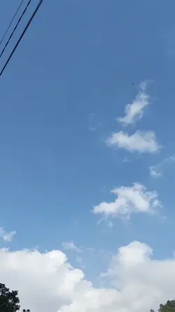 kata kata 
