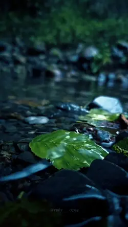 8 clips cinematic