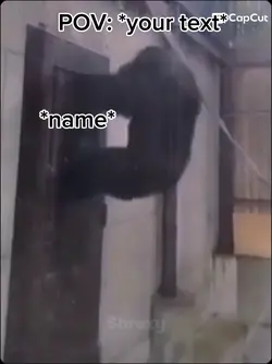 Monkey banging.