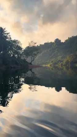 Heal Nature