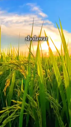 Sholawat 5video