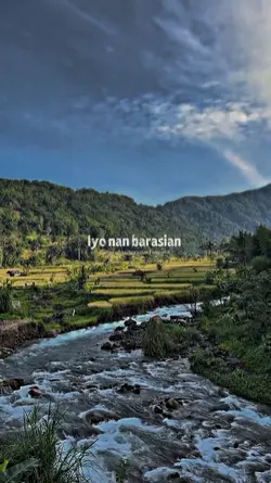 Cando Sibisu barasia