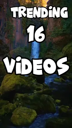 16 video or photo