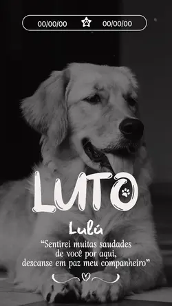 Luto pet 🐾