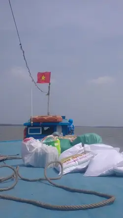 Ra khơi tìm kho báu