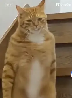 虎太郎
