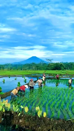 LANGGAM NGIDAM SARI