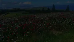 この先にあるもの