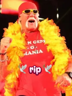 Hulk hogan edit