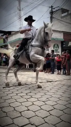 Baile Del Caballito