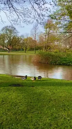 Mini Vlog 398