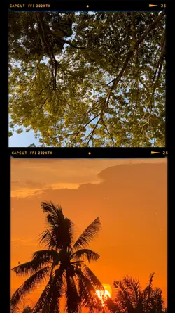 Roll film