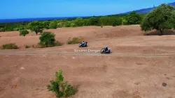 Afrika lanscape