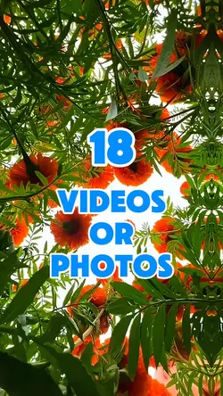 18 videos or photos 