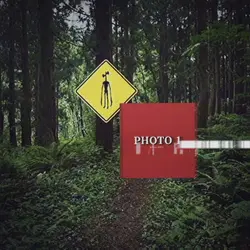 :