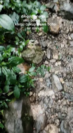Sederhana Saja