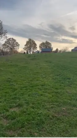 Zwolnione tempo 