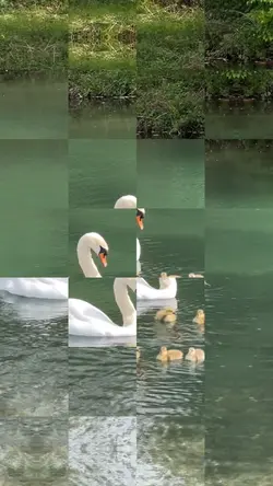 Video template