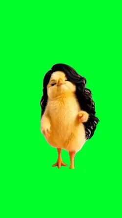 Walking chick
