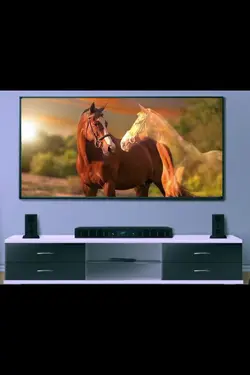 TV Photo Template