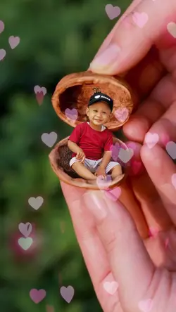 Peanut shells