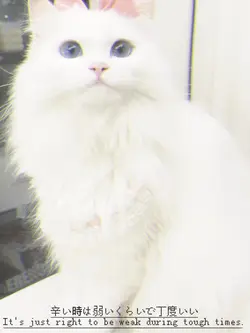 モリタリング