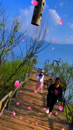 1 video kèm hiệu ứng