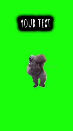 gorilla 