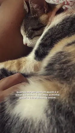 minha bb 💘