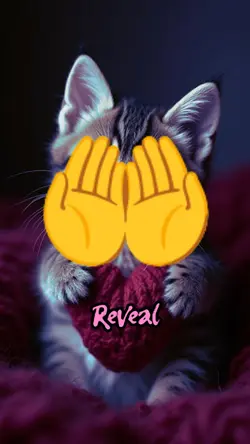 I Love You Reveal 