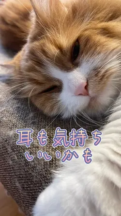 気持ちいい