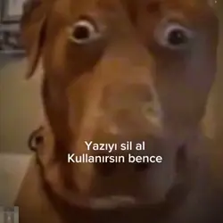 Kullanırsın bence