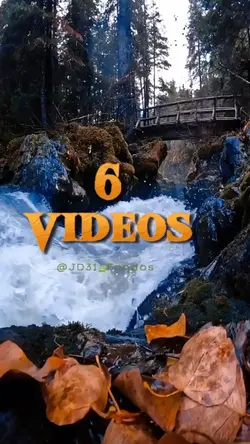 6 Videos